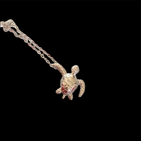 Lulixx Silver Turtle Necklace - Picture 3 of 11